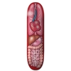 Plan B ProSpec Joslin Guts Skateboard Deck
