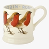 Seconds Robin 1/2 Pint Mug