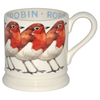 Seconds Robin 2011 1/2 Pint Mug