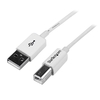 2m Usb B Cable M/m White - - Usb 2.0 A To B - 6 Ft