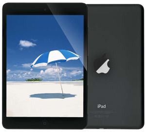 Apple iPad Mini,  A5 Dual Core CPU,  64GB Flash,  7.9" MultiTouch,  Wifi,  Bluetooth,  2 x Camera,  Black + Slate,  iOS