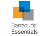 Barracuda Essentials - Security Edition 3 Year User License (250-999 users)