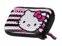 Camera Case Stripe