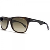 Carrera Sunglasses 6003 Wayfarer Style in Havana Black.