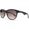 Carrera Sunglasses 6004 Wayfarer Style in Havana Black.