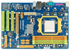 *EX Display* Biostar NF520D3 nForce 520 Socket AM3 6 Channel Audio ATX Motherboard (Includes back plate only)
