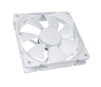 Fan Dynamic X2 Gp-12 Whiteout