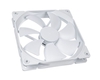 Fan Dynamic X2 Gp-14 Whiteout