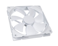 Fan Dynamic X2 Gp-14 Whiteout