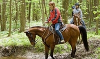 Horse Riding with Lunch