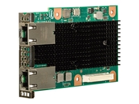 Intel Ethernet Network Connection OCP X557-T2 - Network Adapter - 	Plug-in Module