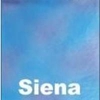 Interfit INT743 Background Cloth Sienna 3.16x5m