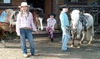 Kids Introduction to Horse Riding