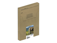 Multipack 6-colours 24xl Easymail