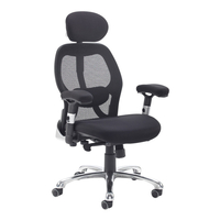 Sandro Mesh Back Executive Chair With Black Air Mesh Seat And Head Rest