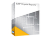 SAP Crystal Reports 2008 - Upgrade package - 1 named user - CD - Win - Multilingual