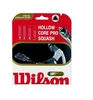 WILSON Hollow Core Pro Squash String Set.