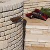 Bradstone Countrystone Walling Buff 290(L) x 90(W) x 63(H) - 228 Per Pack