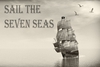 A Pirates Life Online Escape Room for up to Eight People