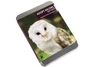 Adopt an Owl