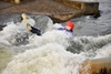 Adult White Water Tubing Experience