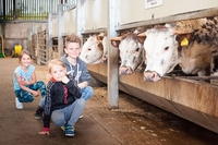 Animal Keeper Experience for One at Thornton Hall Country Park