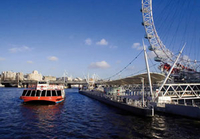 Family Afternoon Tea Cruise on the Thames