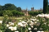 Family Day Out at Knebworth Gardens and Grounds