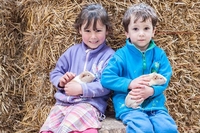 Farm Tour with Animal Handling for Two at Thornton Hall Country Park