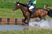 Full Day Horse Riding Experience for Two at Slades Farm