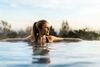 Harmony Spa Day with Lunch for One at Ragdale Hall Spa
