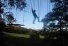 High Ropes Adult Adventure