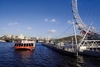 Lunch Cruise on the Thames for Two Special Offer