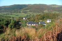 One Night Break at Dyfiview Bed and Breakfast