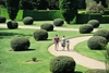 One Night Break at The Ickworth Hotel