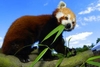 Paradise Wildlife Park Tickets - Exclusive Week-round Special Offer