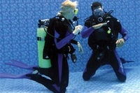 Scuba Diving Experience for One in Essex