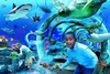 SEA LIFE London Aquarium Centre Tickets