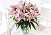 Simply Pink Lilies