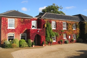 Traditional Afternoon Tea at the Beechwood Hotel for Two