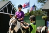 Two Hour New Forest Horse Riding Experience for Two