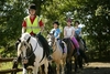 Two Hour Western Riding Experience