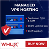VPS Hosting