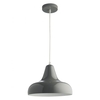 Aerial Grey metal ceiling light