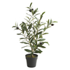 Habitat Floreo Faux Olive Tree in Pot