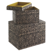 Renae Set of 2 black patterned storage boxes