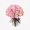 Long Stem Pink "Hera" Rose Bouquet