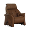 Chester Lift And Rise Electric Recliner