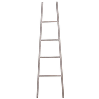 Decorative Wooden Ladder