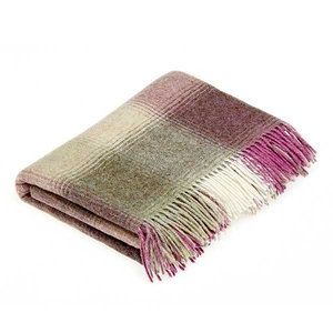 Kilnsey Throw,  Fern